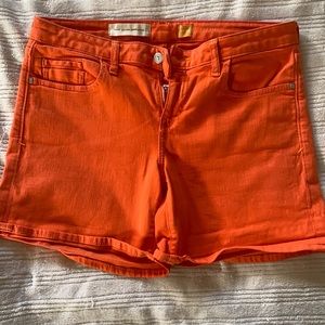 Pilcro Stet Shorts
